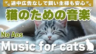 猫が落ち着く音楽 (12時間途中広告なし) 猫が安心する音楽 | お留守番対策 / No Ads/12 hours/Relaxing music for cats_vol.228