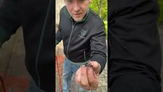 First time magnet fishing in the Canal of Schiedam in Holland