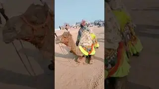 water games#mandvi#beach#shorts#camel#fun  #gujaratkutch#trending#ytshorts#viralshorts#viralvideo