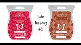 Tester Tuesday #6 - Very Merry Cranberry & Cedar Cider (Scentsy)