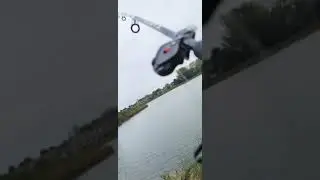 Carp on catfish bait- Chicago Fishing