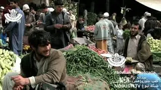 کمپ جلوزی /هجرت کلی /مهاجربازار /لجنة دعوت الاسلامیه، معهدحرا اسلامی /پوهنتون دعوت الجهاد
