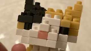 PETIT BLOCK: Calico Cat build