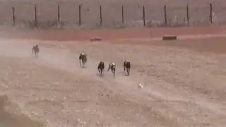 FINAL CARRERA DE REGATES - BURUJON - 23-07-2017