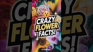Crazy Flower Facts That Will Shock You! 🌺🤯 #hungergamestiktok