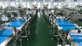 High Speed Two channels biscuits automatic feeding packing machine line.