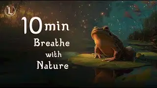 Meditation | Box Breathing Technique | Australian Nature Sounds | Solfeggio 852 Hz