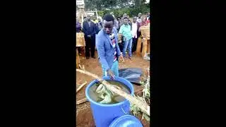 KILIMO HAI TANZANIA {ORGANIC FARMING}