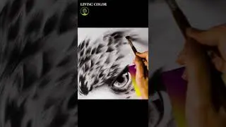 drawing eagle in black | نقاشی عقاب با سیاه قلم #shorts