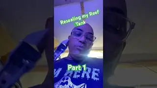 Best EASY WAY to Remove Old Silicone from Your Fish Tank Without Damaging It