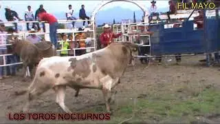 LOS TOROS NOCTURNOS EN SAN NICOLAS DE OBISPO