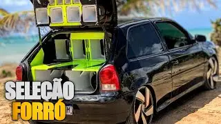 FORROZÃO TOPADO PRA PAREDÃO - REPERTÓRIO ATUALIZADO MÉDIOS CAIXA SAMPLEADA - AS MELHORES 
