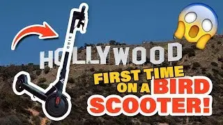 BIRD SCOOTER ACCIDENT! VERY FUNNY | LA VLOG