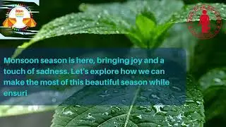 Monsoon Season & Pest Control: Embracing Happiness, Tackling Pests