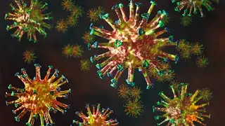 Coronavirus: US braces for a possible 4th wave of COVID-19 as cases increase