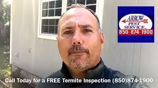 Termite Inspection in Crawl Space, Panama City, FL - Arrow Pest Service