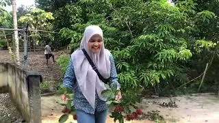 Healing tipis ke Bangkinang