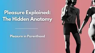 Pleasure in Parenthood | The Anatomy of Pleasure After Birth | Understanding Your Body Postpartum