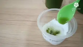 Praktikum Alelopati