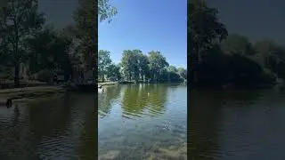 Санкт-Петербург, Петергоф