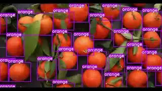 Data Annotation Services For Fruit Detection | Wisepl | #fruits #datalabeling #dataannotation #ai