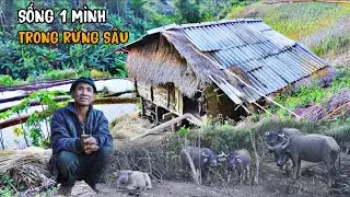 Rời xa thành phố ông chú 1 mình sống ẩn trên núi hoang sơ