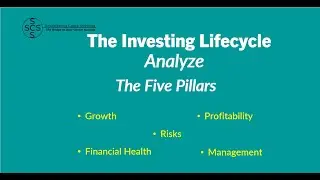 COMPANY ANALYSIS - The Five Pillars of Company Analysis