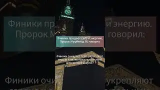 Почему Пророк ﷺ ел финики каждый день? 🌴