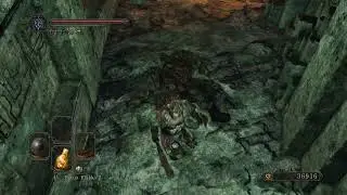DS2 Parry Enemy 25. Gyrm Warrior Unarmed