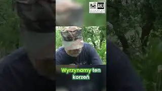 Chrzan na b&oacute;l korzonk&oacute;w? Domowy spos&oacute;b, kt&oacute;ry działa! #kudlinski #naturalneleczenie