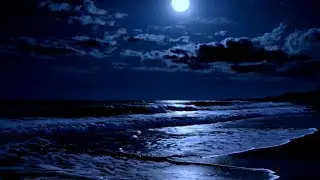 Sleep by the Shore | 12 Hours of Soothing Ocean White Noise for Restful Dreams 🌊😴