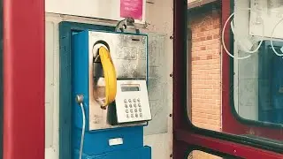Banana Plague - Couldn't Care Less (Offical Banana Video)