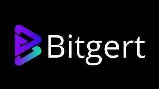 BITGERT $BRISE Project Review || The Next 100X BSC Token ? ?