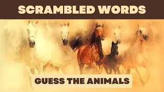 Unscramble The Letters To Guess The Animal Names
