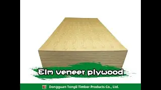 Elm Veneer Plywood - Veneer Panel Manufacturer | Tongli