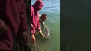 Как  помрёт , съездим.            #рек #story #топ #fishing #fish #monster #отдых #рыбалка