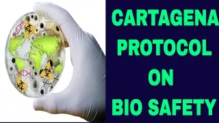 L-97 CONVENTION ON BIOLOGICAL DIVERSITY (CBD) AND CARTAGENA PROTOCOL