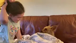 Dog Soccer - Nadia teaches dog how to play soccer.