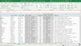 EX-05-24 &mdash; Flash Fill: Instant Data Cleanup Without a Single Formula
