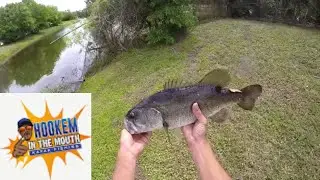 Canal fishing for Big fish, Florida Bass catch em all HOOKEM IN THE MOUTH pond Florida Jacksonville