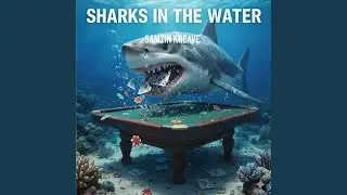 Sharks In The Water