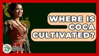 Where Is Coca Cultivated? - History Of Latin Cultures