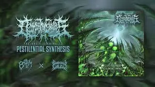DECOMPOSITION OF ENTRAILS - Pestilential Synthesis | BRUTAL MIND X PATHOLOGICAL EXPLICIT Recs