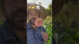 You really should deadhead your flowers!