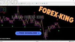 FOREX-KING X-MAN Live Signal 📶 System  #trading #freesignal#binaryoptionstradingforbeginners