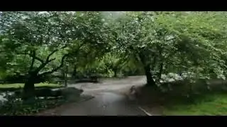 Beautiful Rainy NYC Tour | Walking in New York City Under the Rain 4K 🌧️🗽 #newyorkcity #travel #usa 