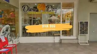 Diva Dog Grooming and Hotel | Best Dog Grooming Shops of Cebu