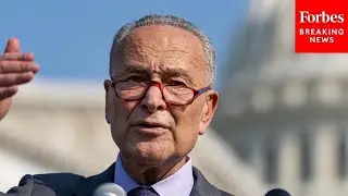'A Healthy Democracy Is A Transparent Democracy': Schumer Pushes DISCLOSE Act