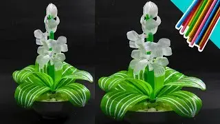 DIY / cara membuat bunga putih kecil dari sedotan plastik / straw flowers
