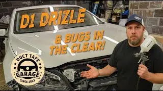 Budget Paint - Innokraft D1 Drizzle Paint Gun Test - Bugs Dive Bomb the Clear
